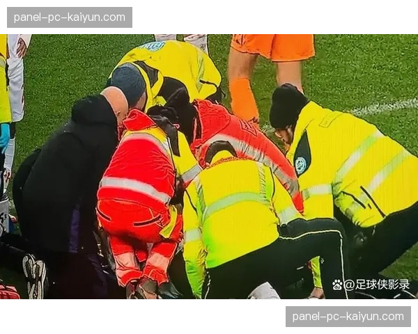 特写：球迷冲入场内导致比赛中断，保安迅速将其带离